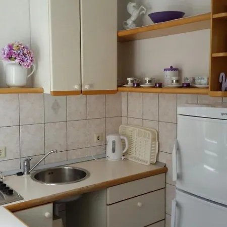 Apartment Radman *